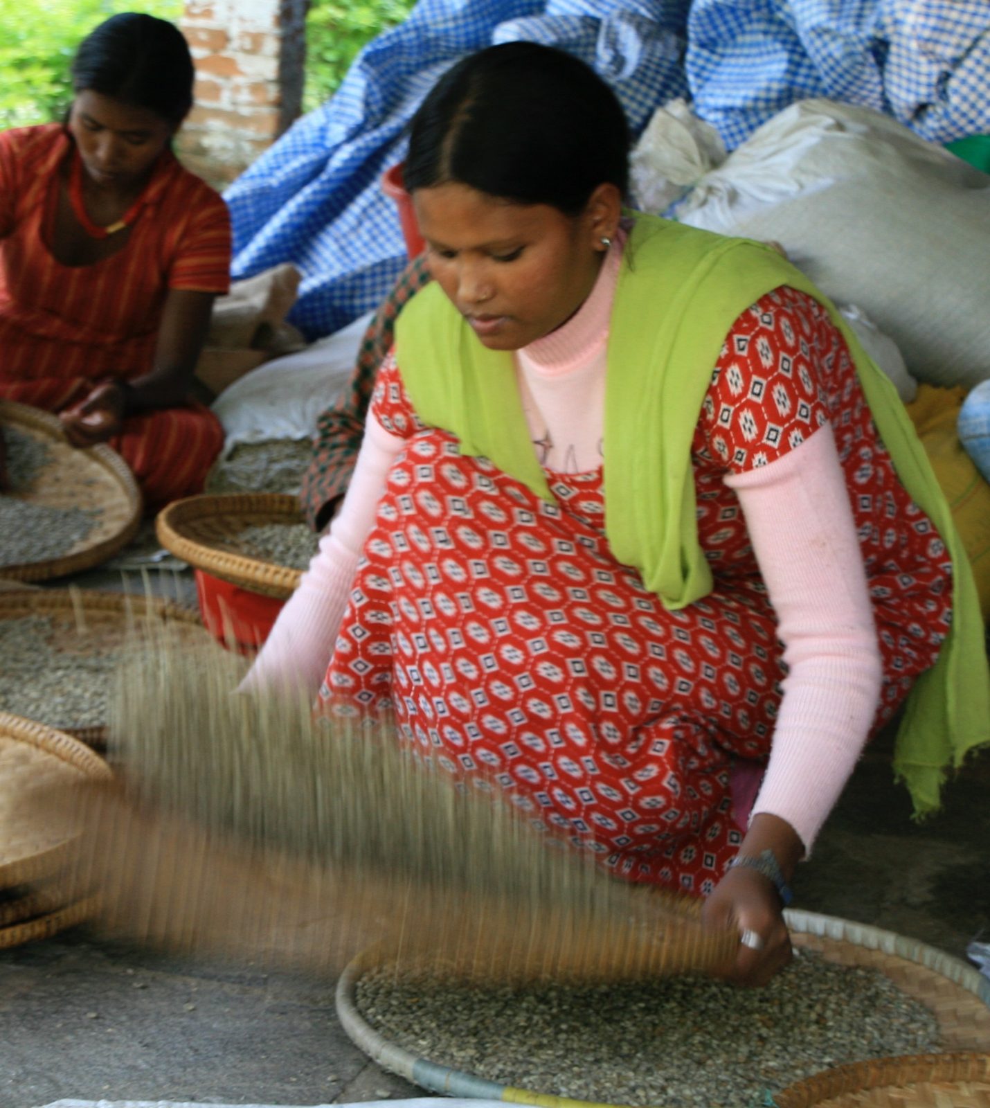 Orbis Coffee for Sustainablity